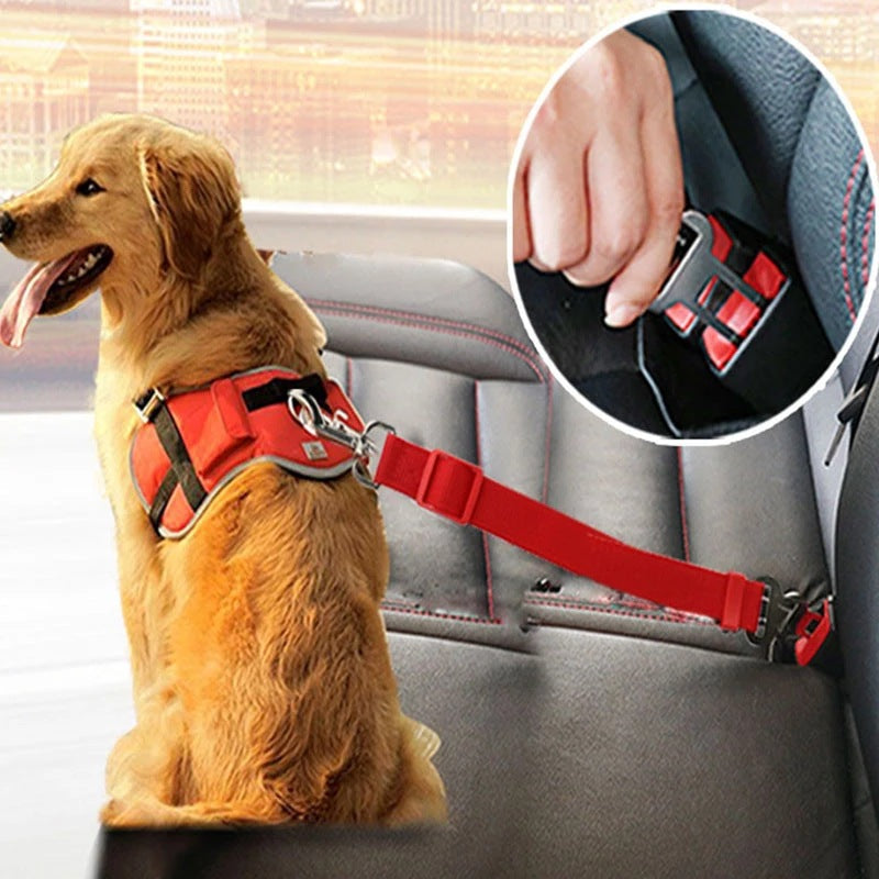 Adjustable Pet Harness Lead Clip